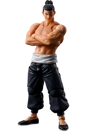 EM BREVE - Aoi Todo SH Figuarts
