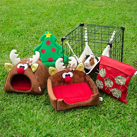 Kit de Rena de Natal • (5 peças)