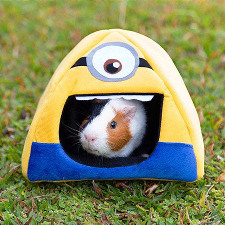 Toquinha • Minion