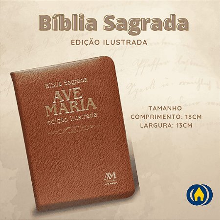 BIBLIA ED ILUSTRADA - MEDIA - MARRON