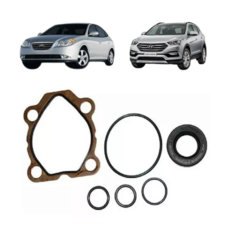 Reparo Bomba Direção Hidráulica Santa Fé / Elantra 50100088