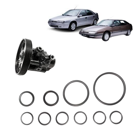 Reparo Aneis /oring Vedação Bomba Direção Citroên Xantia / Xm