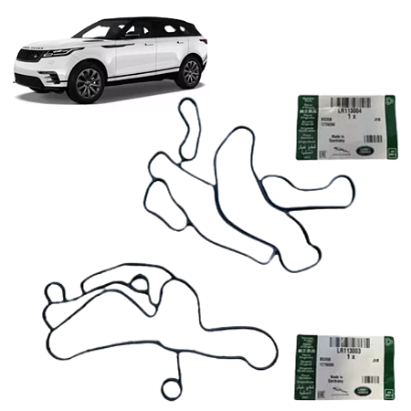 Junta Suporte Filtro Oleo Land Rover Vogue 4.4 V8 Sdv8 Diess