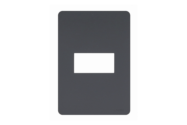 Placa 4X2 1 Módulo Stellar Black Orion Schneider