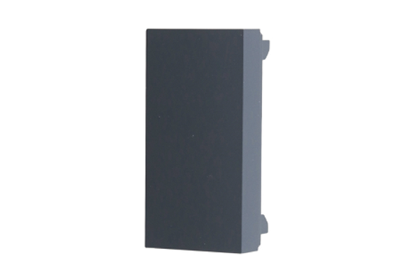 Modulo Cego Com 2 Unidades Grafite Orion Schneider