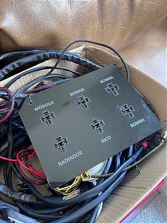 Fueltech 350 + Chicote ap