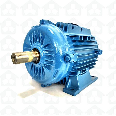 MOTOR ELÉTRICO TRIFÁSICO WEG 2 CV 220V 60 Hz