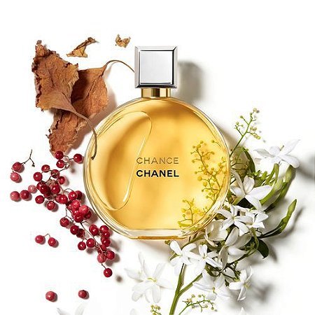 Perfume Chanel Chance Eau De Parfum Feminino - BRM Importados