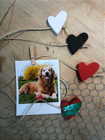 Varal de Fotos Estrela