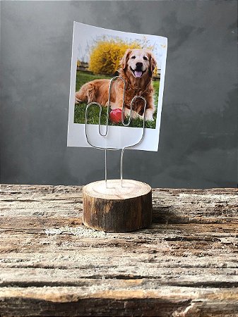 Porta Foto Rústico Cacto