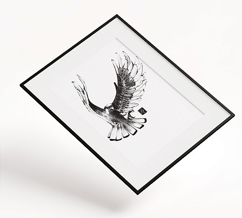 Print A4 - The falcon
