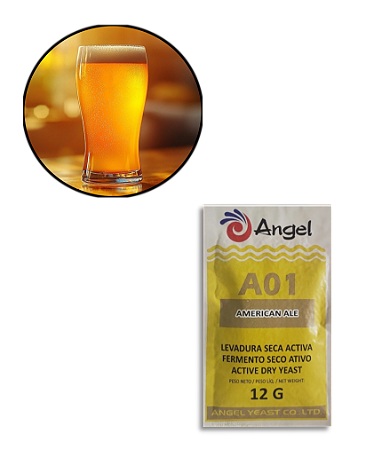 Fermento Angel A01 - 12g