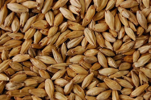 Malte Agrária Munique