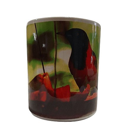 Caneca Personalizada - Currupião