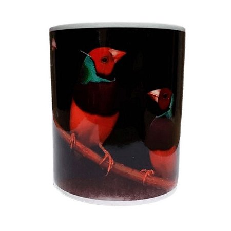 Caneca Personalizada - Diamante de Gould