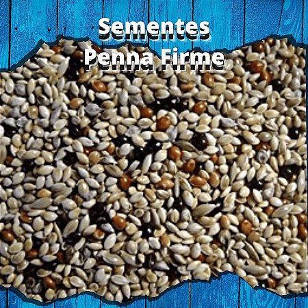 Mistura de Sementes - Canários da Terra - 500g