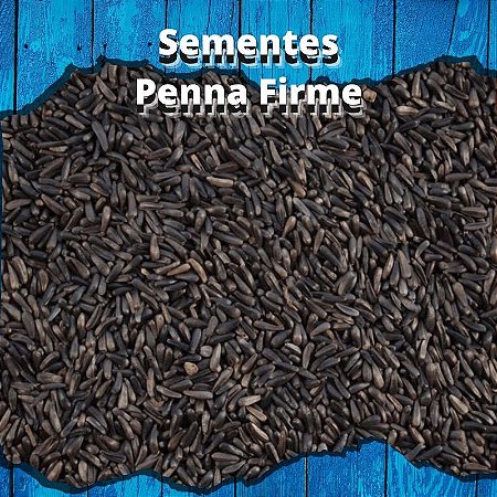 Sementes de Níger – 1kg