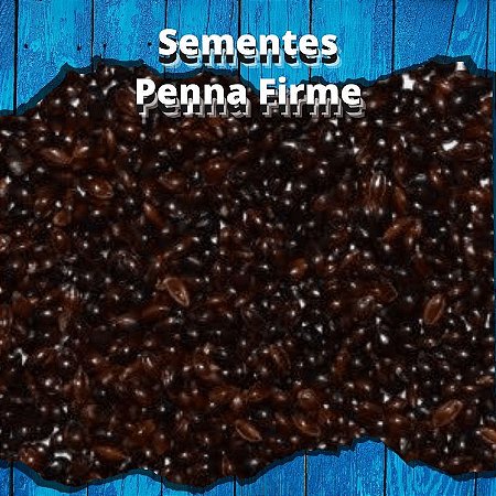 Sementes de Painço Preto - 1kg