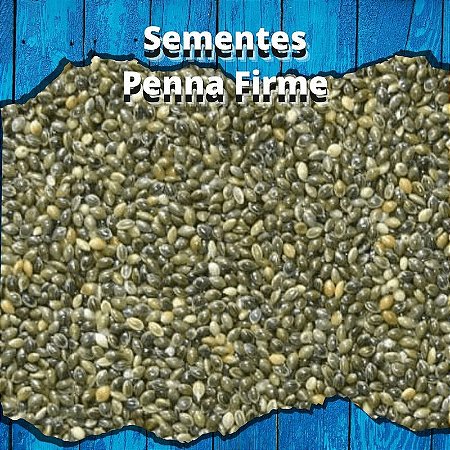 Sementes de Painço Verde - 1kg