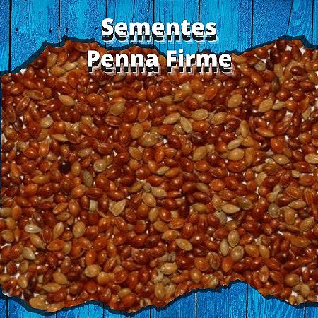 Sementes de Painço Vermelho - 1kg