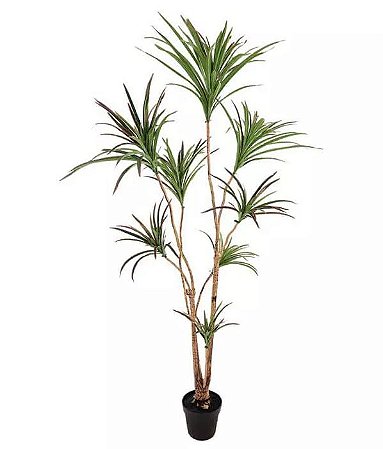 Planta Árvore Artificial Dracena Verde Escuro 1,95m