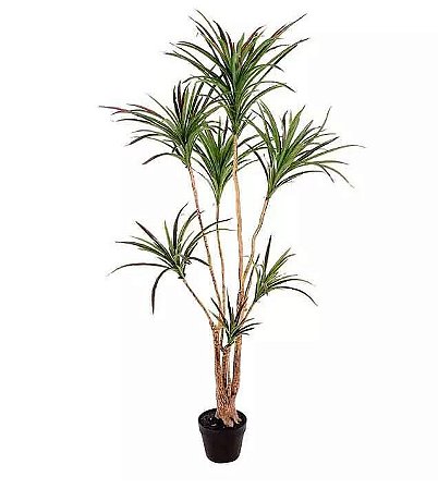 Planta Árvore Artificial Dracena Marginata Verde Vermelho 1,5m