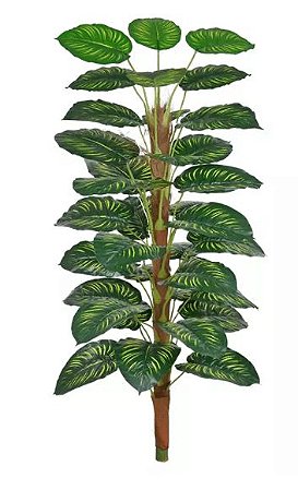 Planta Árvore Artificial Calathea Verde Real Toque 1,7m