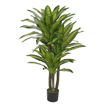 Planta Árvore Artificial Dracena Real Toque Verde Creme 1,15m