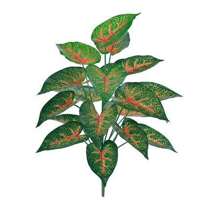 Planta Árvore Artificial Caladium Real Toque Verde 60cm