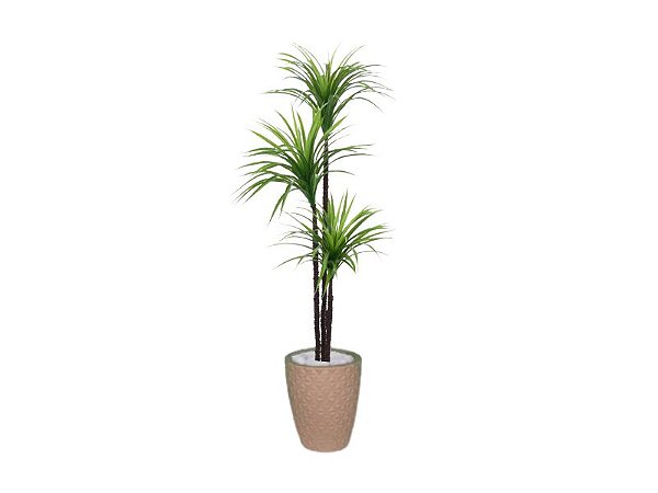 Planta Artificial Árvore Yucca 1,50m 3 Folhas Kit + Vaso E. Bege 32cm