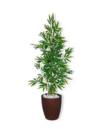 Planta Artificial Bambu 1,2 m Kit + Vaso S. Marrom 30cm