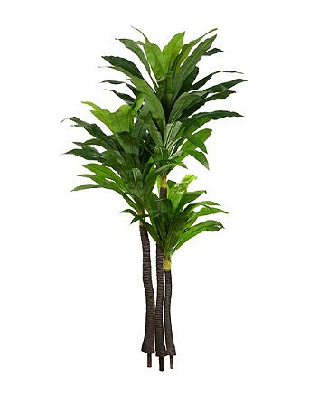 Planta Árvore Artificial Dracena Real Toque Verde 2m