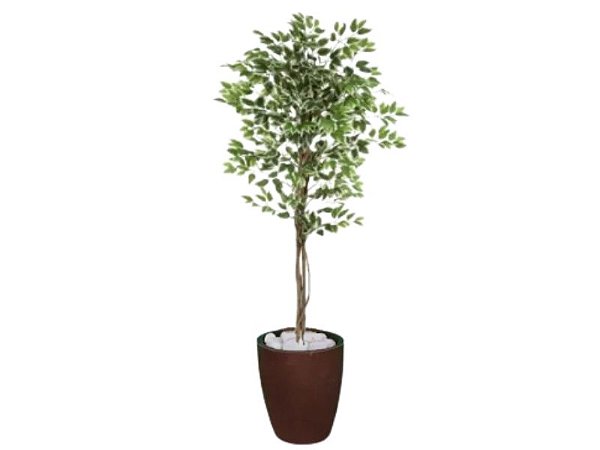 Planta Artificial Ficus Verde Creme 1,5m kit + Vaso S. Marrom 30 cm