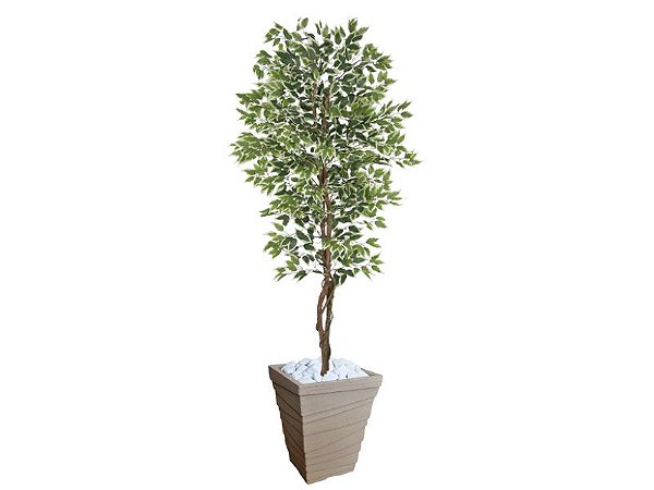Planta Artificial Ficus Verde Creme 2,10m kit + Vaso Trapezio D. Grafiato Bege 40cm