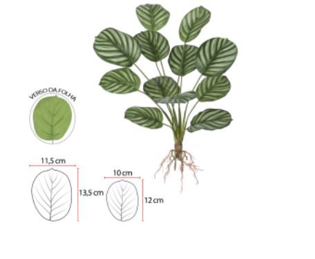 Planta Árvore Artificial  Calathea Real Toque Verde Branco 56cm