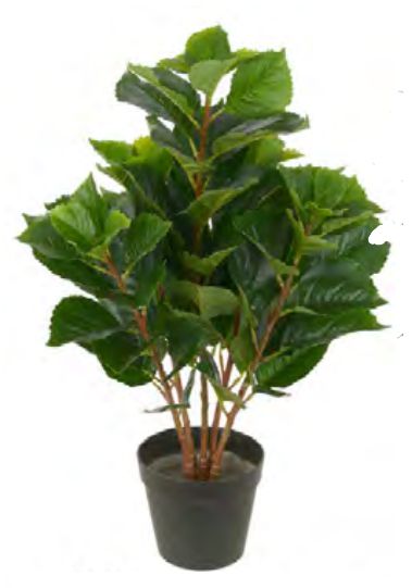Planta Árvore Artificial Folha Real Toque C/Pote X74 Verde 60cm