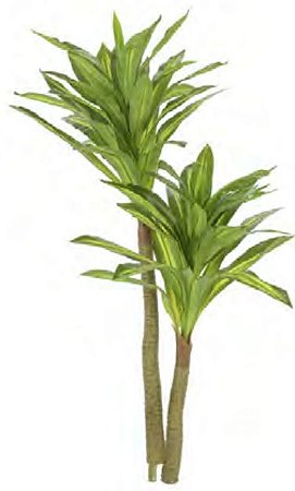 Planta Árvore Artificial Dracena Real Toque X54 Verde Creme 1,2m