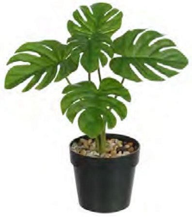 Planta Árvore Artificial Costela de Adão Real Toque X5 Verde 24cm