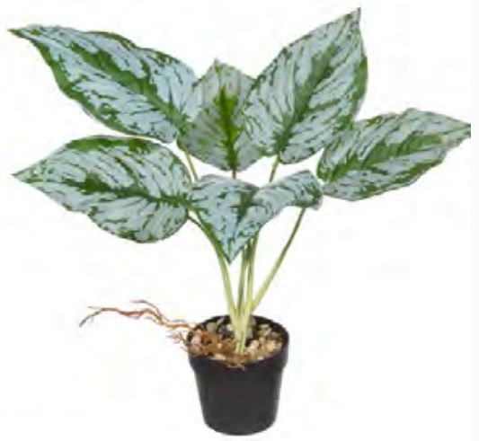 Planta Árvore Artificial Aglaonema Real Toque C/Raiz X6 Verde 43cm