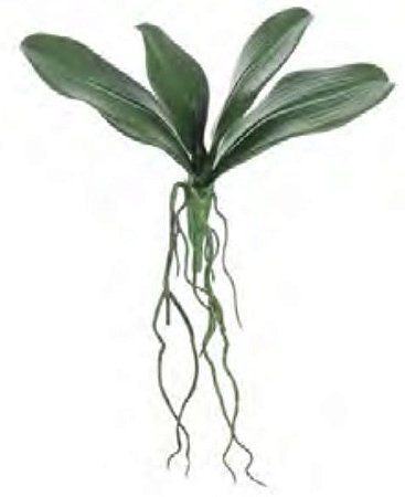 Folhagem Artificial Folha Orquidea Phalaenopsis C/Arame X4 Verde 24cm