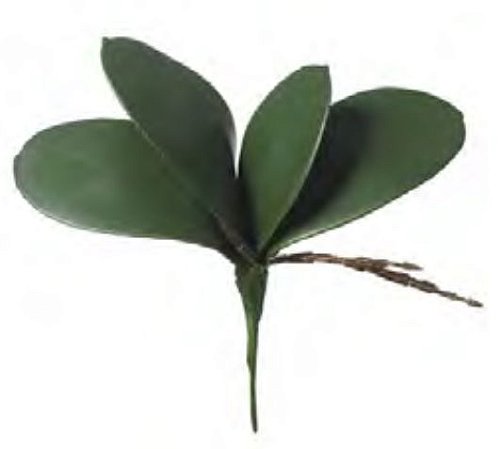 Folhagem Artificial Folha Orquidea Phalaenopsis C/Arame X4 Verde 18cm
