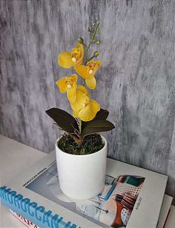 Arranjo De Mini Orquídea Amarela Vaso Branco Redondo