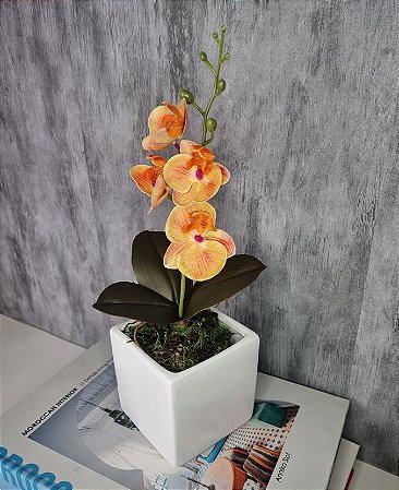 Arranjo De Mini Orquídea Laranja Vaso Branco Quadrado