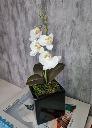 Arranjo De Mini Orquídea Branca Vaso Preto Quadrado