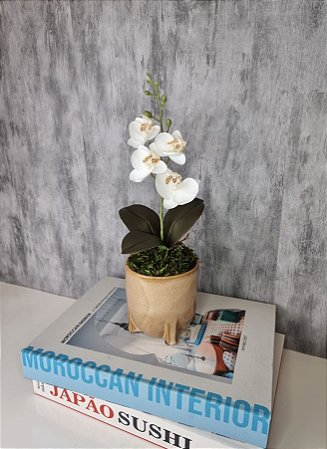 Arranjo De Mini Orquídea Branca Vaso Bege Redondo