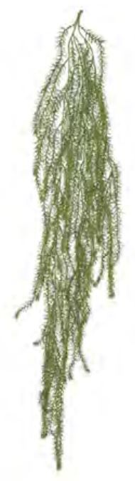 Planta Artificial Pendentes Alecrim Verde 1,30cm