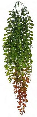 Planta Artificial Pendentes Folha Real Toque C/Print Verde Outono 94cm