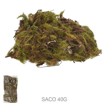 Musgo Natural (Saco 40G Verde)