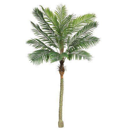 Planta Artificial Árvore Palmeira Phoenix Real Toque Verde 2,50m