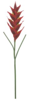Haste Heliconia Rel Toque Vermelho 1,23cm